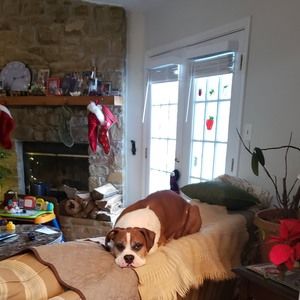 Meet your Posher, Kathleen